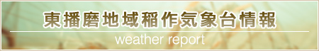 東播磨地域稲作気象台情報